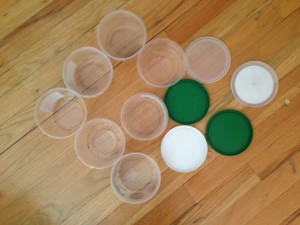 Plastic Containers for Seed Sowing