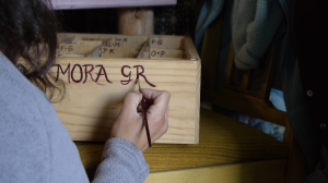 mora grows seed library