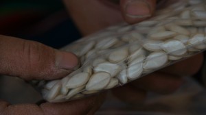More seeds!