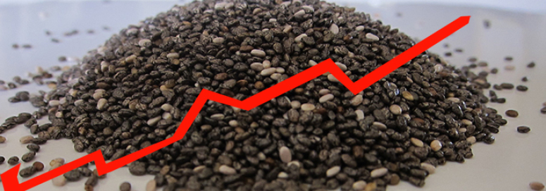 Seeds – The Best ROI That Exists