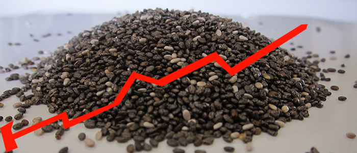 Seed-ROI Seed-ROI