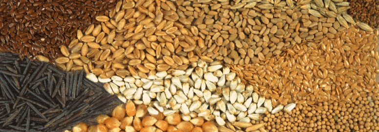 Do you have heirloom seeds waiting to be found?