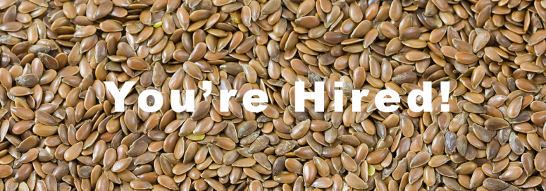 Organic Seeds – You’re Hired!