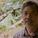 Dr. Lorrin Pang Part 2 – GMO Safety Cont’d