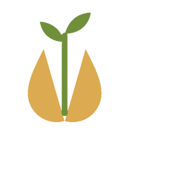 Open Sesame logo: a sesame seed splitting open with a sprout