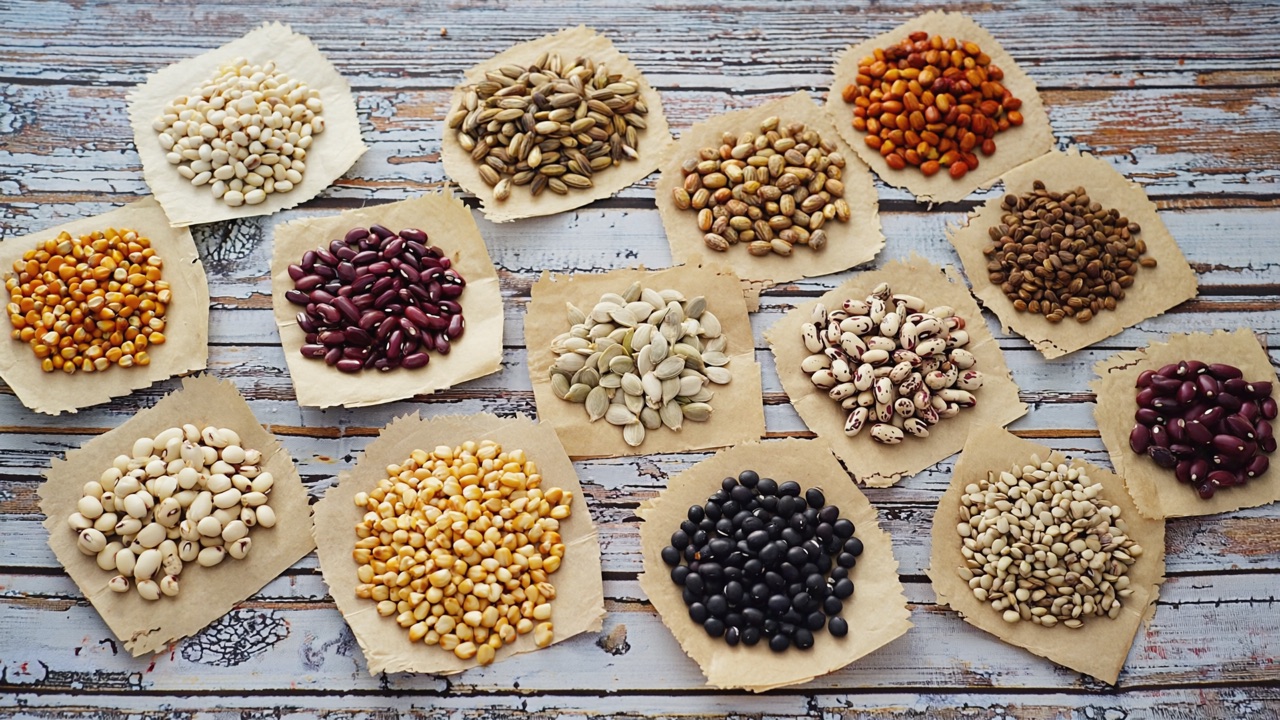 Piles of heirloom seeds and beans of many colors on paper squares on a rustic wooden table